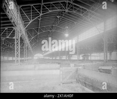 Vienne 3, Viehmarktgasse (Viehmarkt Alley) 3, abattoir Saint Marx. stabling. Vue en longueur, 1910 - 19100101 PD3035 - Rechteinfo : droits gérés (RM) Banque D'Images