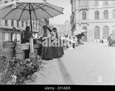 Vienne 1, à la cour, stalle de légumes. Vue de Heidenschuss vers Freyung, 04.08.1912 - 19120804 PD0006 - Rechteinfo : droits gérés (RM) Banque D'Images