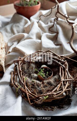 Un nid d'oiseau fait de brindilles, d'herbe et de matériaux naturels, avec un œuf cassé à l'intérieur. Le nid est construit sur le sol en utilisant la terre, le bois et le p terrestre Banque D'Images