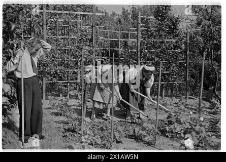 Annie Rosar dans le jardin de lotissement, sur le jardinage. - 19400624 PD0013 - Rechteinfo : droits gérés (RM) Banque D'Images
