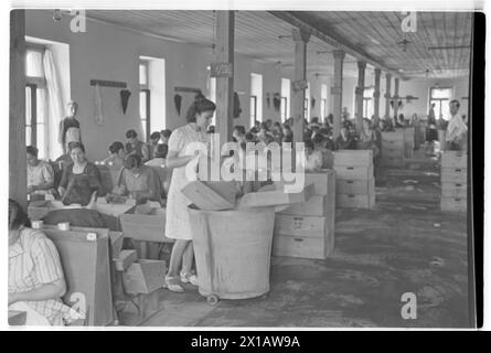 Usine de tabac autrichienne, pierre d'usine, 01.08.1941 - 19410801 PD0232 - Rechteinfo : droits gérés (RM) Banque D'Images