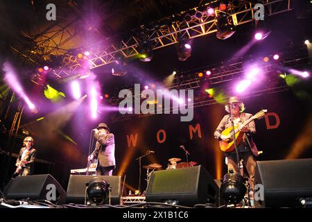 Rachid Taha se produit lors du festival WOMAD 2013, qui se tient à Charlton Park, Wiltshire. Banque D'Images