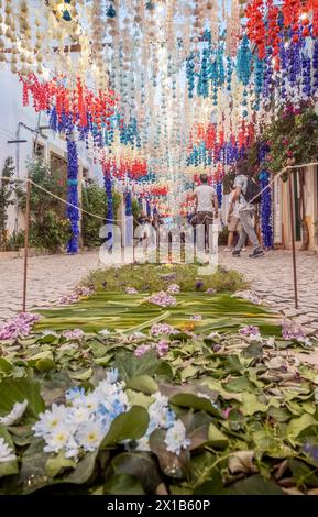 Tomar, Portugal - 8 juillet 2023 : rue décorée d'un tapis de fleurs et de fleurs en papier à la Festa dos Tabuleiros à Tomar, Portugal. Banque D'Images