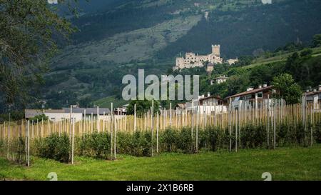 L'ancien château dans les Alpes dans la région du Tyrol du Sud Banque D'Images