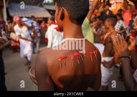 Les dévots de Bainan, un village situé à environ 60 kilomètres de Kolkata, célèbrent le festival de Gajan avec ferveur. Le festival hindou d'une semaine Banque D'Images