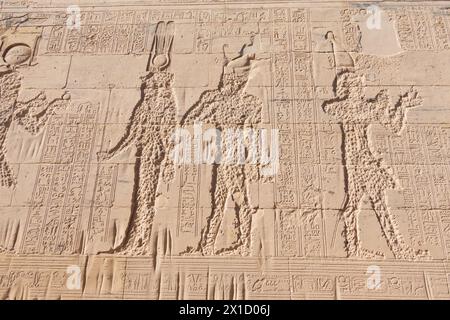 Sculptures en relief, complexe du temple de Philae, île d'Agilkia, réservoir du barrage d'Assouan. Lieu de sépulture d'Osiris. Égypte Banque D'Images