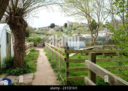 Autour de St Werburgh est une banlieue de Bristol UK les allotments Banque D'Images