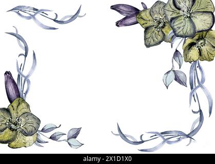 Bordure florale gothique dessinée à la main. Fleurs vert foncé et illustration d'aquarelle de feuillage isolé sur blanc. Art botanique avec hellebore, feuilles. Weddi Banque D'Images