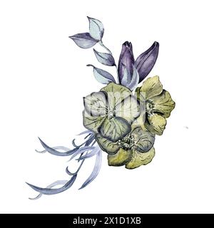 Aquarelle fleurs vert foncé et feuillage isolé sur blanc. Illustration florale gothique dessinée à la main. Art botanique avec hellebore, feuilles. Déco de mariage Banque D'Images