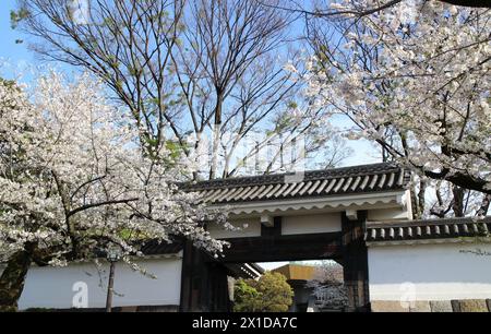 Cerisiers en fleurs et porte Tayasu du château d'Edo à Tokyo, Japon Banque D'Images