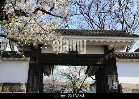 Cerisiers en fleurs et porte Tayasu du château d'Edo à Tokyo, Japon Banque D'Images