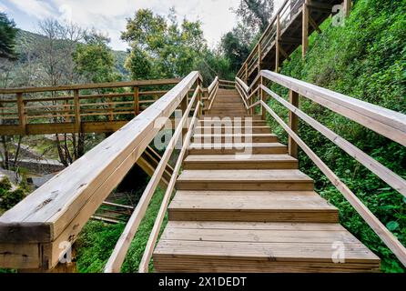 Passerelle en bois SRA da Piedade à Serra da Lousã-Portugal. Banque D'Images