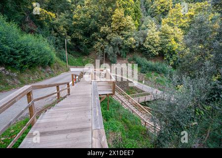 Passerelle en bois SRA da Piedade à Serra da Lousã-Portugal. Banque D'Images