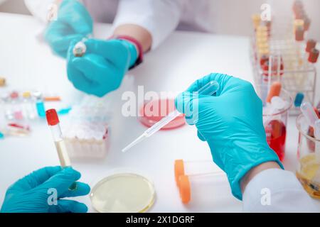 Un scientifique examine une solution dans une boîte de Petri dans un laboratoire. Le médecin examine le test du coronavirus sur la boîte de Petri à l'hôpital. Banque D'Images