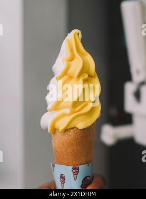 Crèmes glacées au yogourt saines avec différentes garnitures Banque D'Images