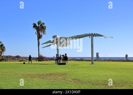 19 novembre 2023 - Morro Jable, Fuerteventura en Espagne : les gens autour du squelette d'un cachalot Banque D'Images