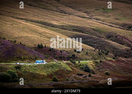 Hamburgers en bordure de route sur la route de montagne Banque D'Images