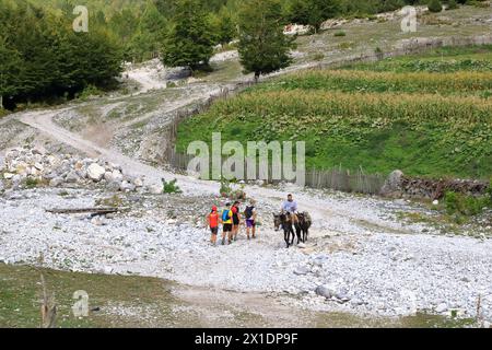 21 septembre 2023 - Valbona en Albanie : un homme avec deux ânes roule dans les Alpes albanaises Banque D'Images
