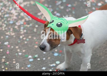 Chien dans un costume de Yoda Banque D'Images