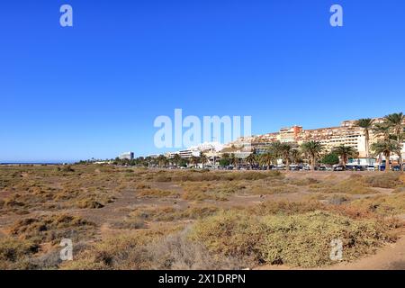 19 novembre 2023 - Morro Jable, Fuerteventura en Espagne : ambiance détendue sur les îles Canaries par une journée ensoleillée Banque D'Images