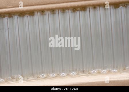 Gros plan de quelques tubes à essai en verre empilés et disposés dans une boîte en carton. Banque D'Images