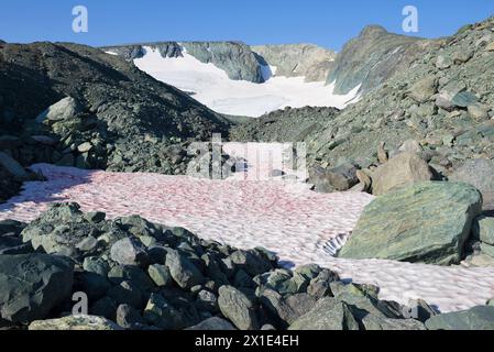 Au glacier IGAN. Montagnes polaires de l'Oural, Russie Banque D'Images