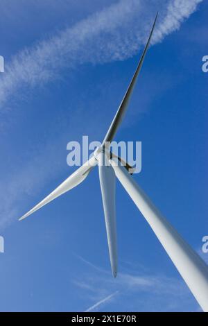 Éolienne sur fond de ciel bleu, Oakdale, Blackwood, pays de Galles, Royaume-Uni Banque D'Images