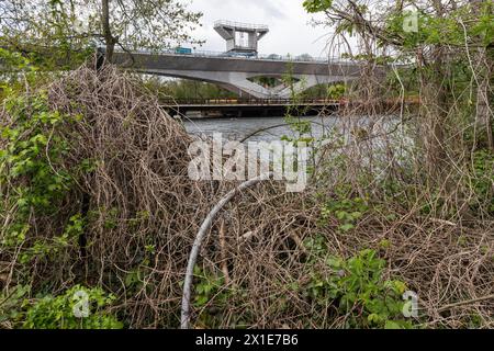 Hillingdon, Royaume-Uni. 16 avril 2024. Le viaduc de Colne Valley en partie construit pour la liaison ferroviaire à grande vitesse HS2 est illustré au-dessus du lac Savay. Le viaduc transportera HS2 à travers les lacs et les cours d’eau du parc régional de Colne Valley. Crédit : Mark Kerrison/Alamy Live News Banque D'Images