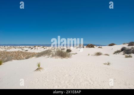 Parc national de White Sands au Nouveau-Mexique Banque D'Images