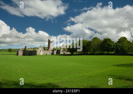 Ruines de l'abbaye de Kilcrea sur des terres agricoles dans le comté de Cork dans la région de Munster en Irlande Banque D'Images