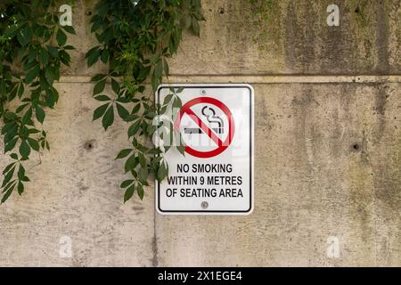 Panneau non fumeur - apposé sur un mur de béton - partiellement masqué par des feuilles vertes envahies par la végétation. Prise à Toronto, Canada. Banque D'Images