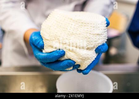 Production de fromage mozzarella, ricotta. Production de fromage à pâte molle. Les mains du fromager tiennent le futur fromage. Gros plan, mise au point sélectionnée. H Banque D'Images
