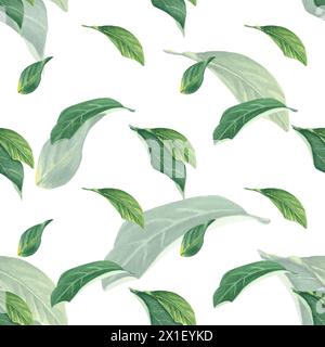 Feuilles vert citron tropique aquarelle sans couture motif sur fond blanc, peint à la main dans le style botanique, pour textile, papier peint, menu, mariage Banque D'Images