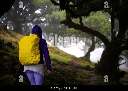 Description : vue arrière d'un routard en vêtements imperméables marchant sur un sentier de randonnée dans une forêt brumeuse mystique avec d'énormes lauriers. Fanal Forest, M Banque D'Images