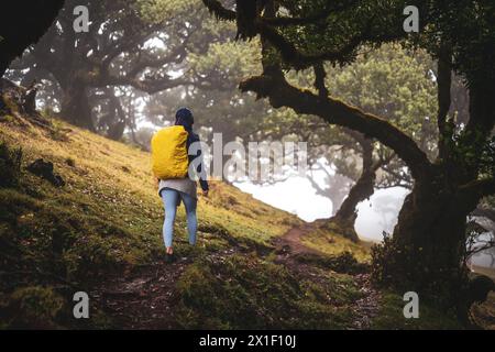 Description : vue arrière d'un routard en vêtements imperméables marchant sur un sentier de randonnée dans une forêt brumeuse mystique avec d'énormes lauriers. Fanal Forest, M Banque D'Images