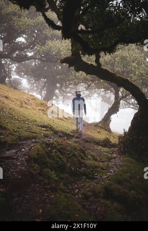 Description : vue de face d'un routard en vêtements imperméables marchant sur un sentier de randonnée dans une forêt brumeuse mystique avec d'énormes lauriers. Forêt de Fanal, Banque D'Images