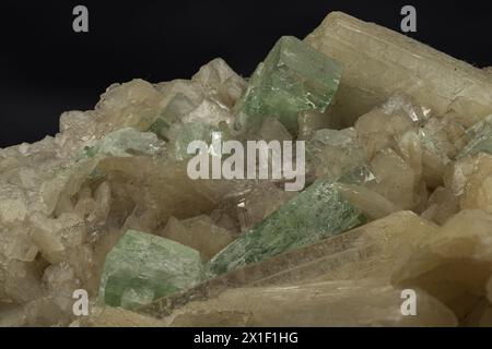 Un moment limpide capturé, avec l'élégance subtile des minéraux apophyllite et stilbite dans leur assemblage naturel et harmonieux Banque D'Images