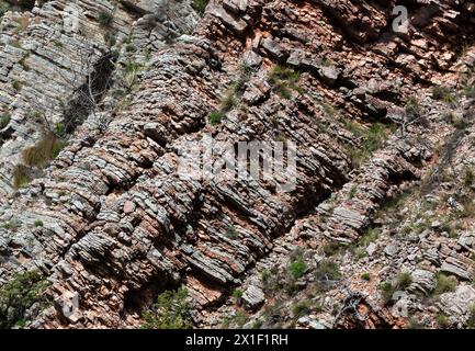 Un gros plan d'une formation de substrat rocheux avec des troncs de bois brun et des plantes terrestres poussant comme couvre-sol, créant un motif d'herbe sur la roche. Texture Banque D'Images