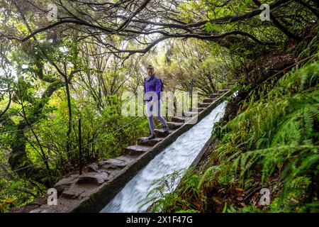 Description : femme touriste avec sac à dos marche sur un chemin d'escalier à côté d'un canal d'eau en pente. 25 Cascades de Fontes, Île de Madère, Portugal, EUR Banque D'Images