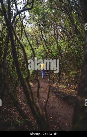 Description : femme touriste avec sac à dos marche à travers un sentier de forêt larvée brumeuse un jour de pluie. 25 Cascades de Fontes, Île de Madère, Portugal, EUR Banque D'Images