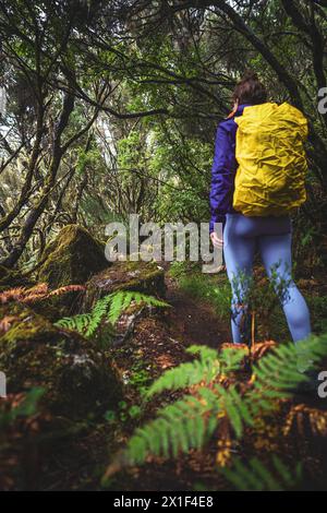 Description : femme touriste avec sac à dos marche à travers un chemin de forêt moussue et rocheuse, laruel un jour de pluie. 25 chutes de Fontes, Île de Madère, po Banque D'Images