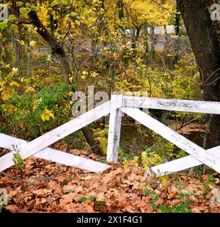 Poteau d'angle, sur cette clôture en bois rustique blanche, penche légèrement. Les feuilles brunes tombées entourent la base de la clôture et les feuilles jaunes sont à l'arrière. Banque D'Images
