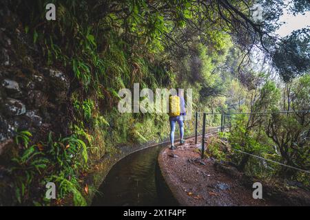 Description : femme touriste avec sac à dos marche le long d'un canal d'eau courbe envahi par des arbres lauraux un jour de pluie. 25 chutes de Fontes, Madère Banque D'Images