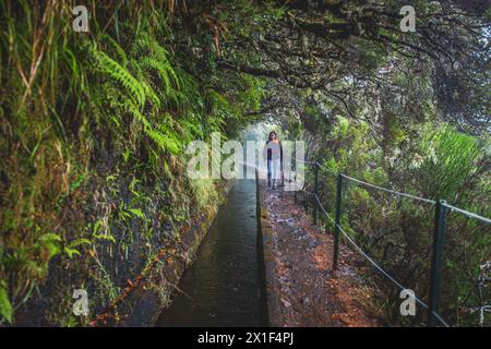 Description : femme touriste avec sac à dos promenades le long d'un canal d'eau envahi de branches dans une forêt laurale un jour de pluie. 25 chutes de Fontes, Banque D'Images