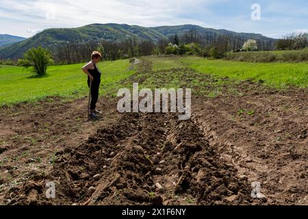 Agriculteur féminin appuyé sur une houe, observant avec satisfaction des pommes de terre fraîchement plantées dans les sillons lors d'une journée de printemps ensoleillée dans le champ Banque D'Images