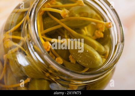 Végétarien de câpres en conserve dans un pot en verre Banque D'Images