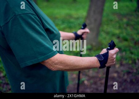 Une femme âgée est engagée dans la marche nordique avec des bâtons dans la forêt de printemps Banque D'Images