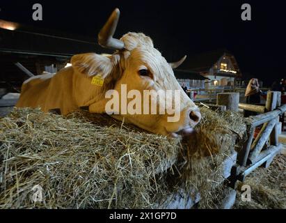 Le marché de Noël du domaine Aiderbichl à Henndorf, en Autriche, a ouvert ses portes le 14 novembre 2013. - 20131114 PD5519 - Rechteinfo : droits gérés (RM) Banque D'Images