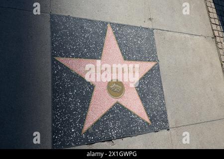 Hollywood, Californie, USA 15 avril 2024 Magicians Siegfried et Roy Hollywood Walk of Fame Star sur Hollywood Blvd le 15 avril 2024 à Hollywood, Californie, USA. Photo de Barry King/Alamy Stock photo Banque D'Images
