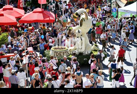 Dans Ausseerland - Salzkammergut, les narcissi en forme d'étoile blanche, sont en fleurs entre la mi-mai et la mi-juin, selon l'altitude. Narzissenfest, le plus grand festival de fleurs d'Autriche, a lieu à cette période chaque année. Le Narzissenfest aura lieu du 26 au 28 mai 2017. PICTURE : Autokorso (parade) - 20170528 PD0570 - Rechteinfo : droits gérés (RM) Banque D'Images
